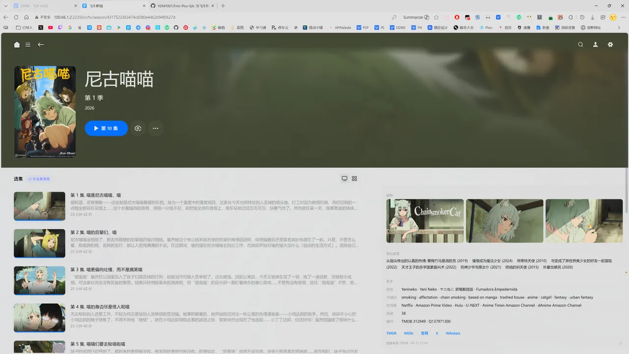 Fntv-Plus Web 版详情页增强